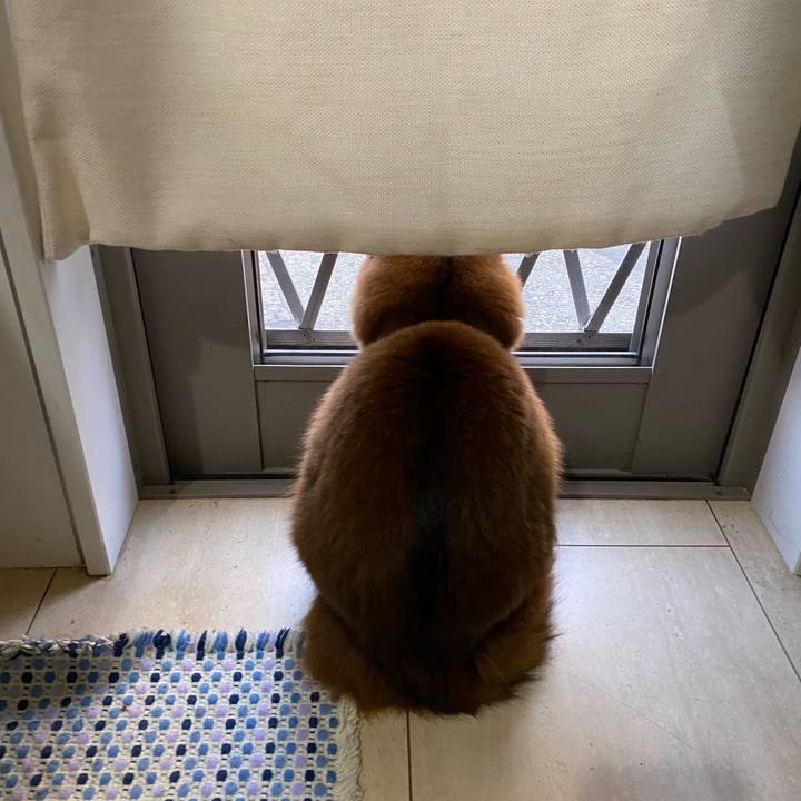 E7ea272e dab8 4f94 931d b90c6428fc7f 1642468409016