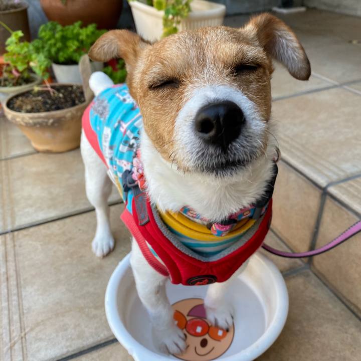 E7ea5221 ee71 469e a74b 950539fb4d96 1589173726910