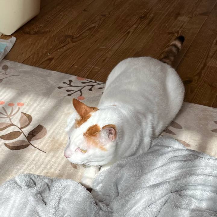 E7ea71c4 6305 486e a60b c46fe02d2d2f 1771829092039