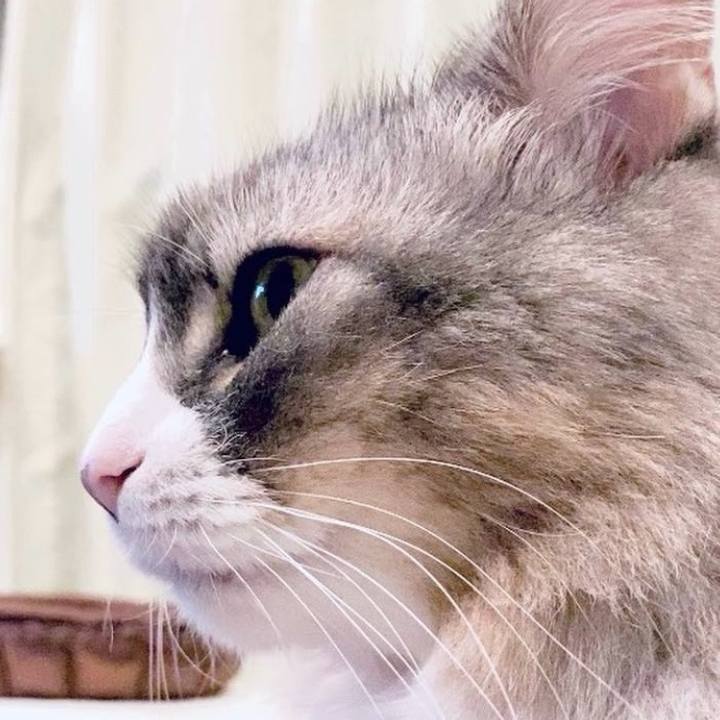 E7ea785d ba20 4126 abb7 ba81a5278cc0 1755875553723