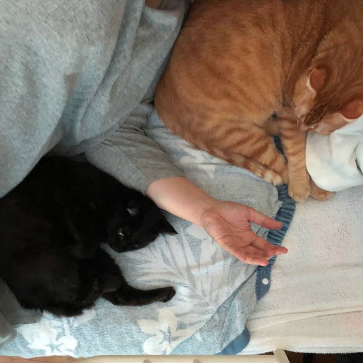 E7ea79d1 5b77 4de6 a959 fd532d20cbd4 1567320260096