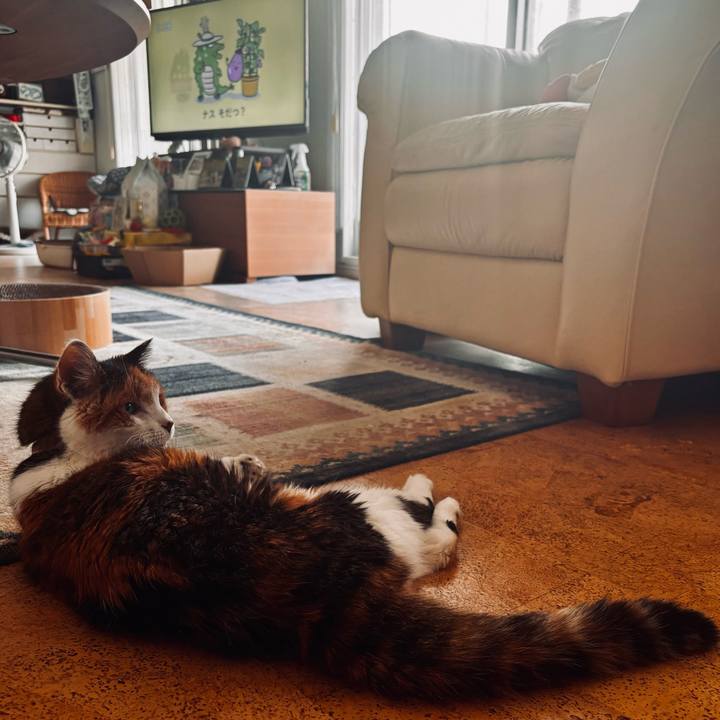 E7eabd2a 5961 4986 8d5d 40e3589626d5 1726092057168