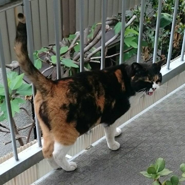 E7eae022 d5cd 4df7 9533 0c6a685154ff 1524541731561