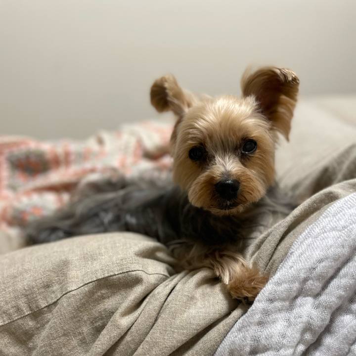 E7eae0ad 4d56 40db 9235 5cc82d2ee7b8 1769176620296