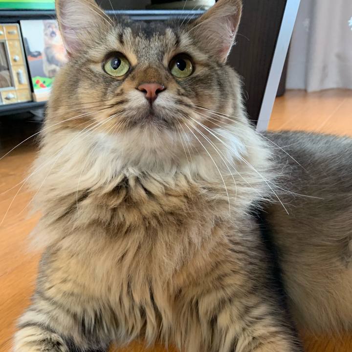 E7eae3a2 85ed 4556 bbb4 59d7a4e7a71b 1754698622302