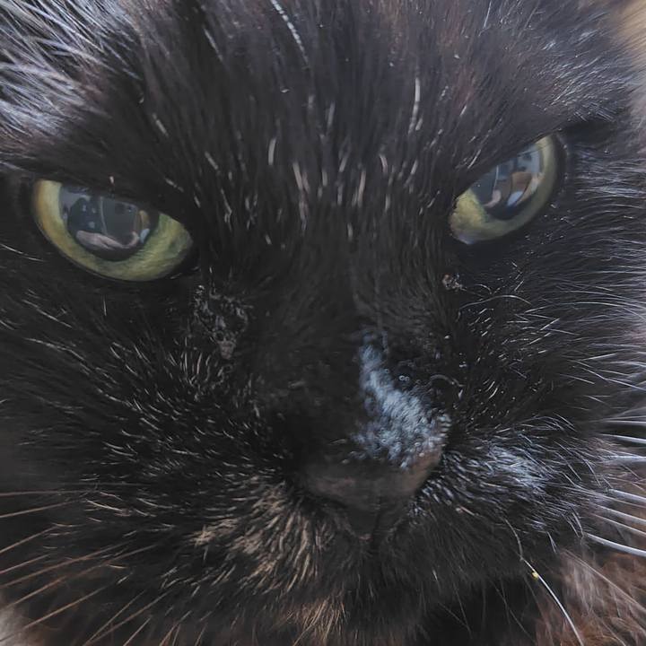 E7eafb2a d152 4b70 8ff5 bb90e8e59488 1744203566820