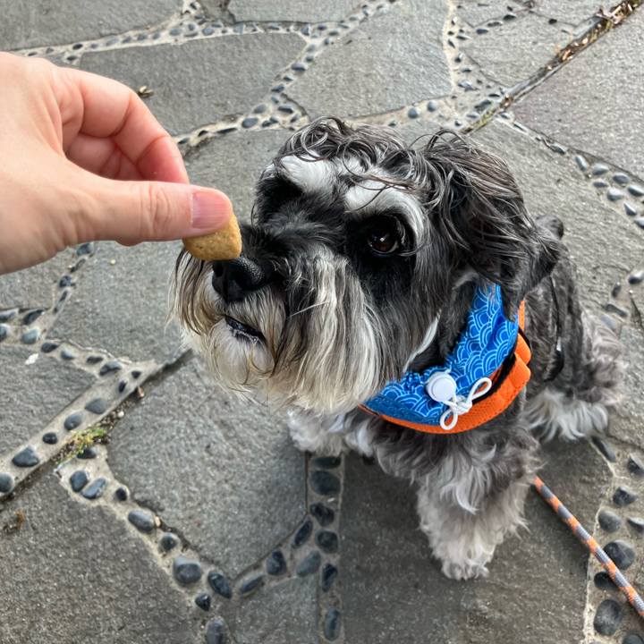 E7eb2bd9 e88f 49d0 a134 746ae6638ac2 1722170145657