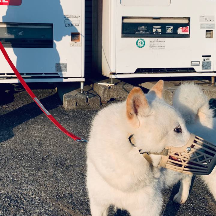 E7eb71db b8bf 4c19 955f 798335ca634e 1590959360702