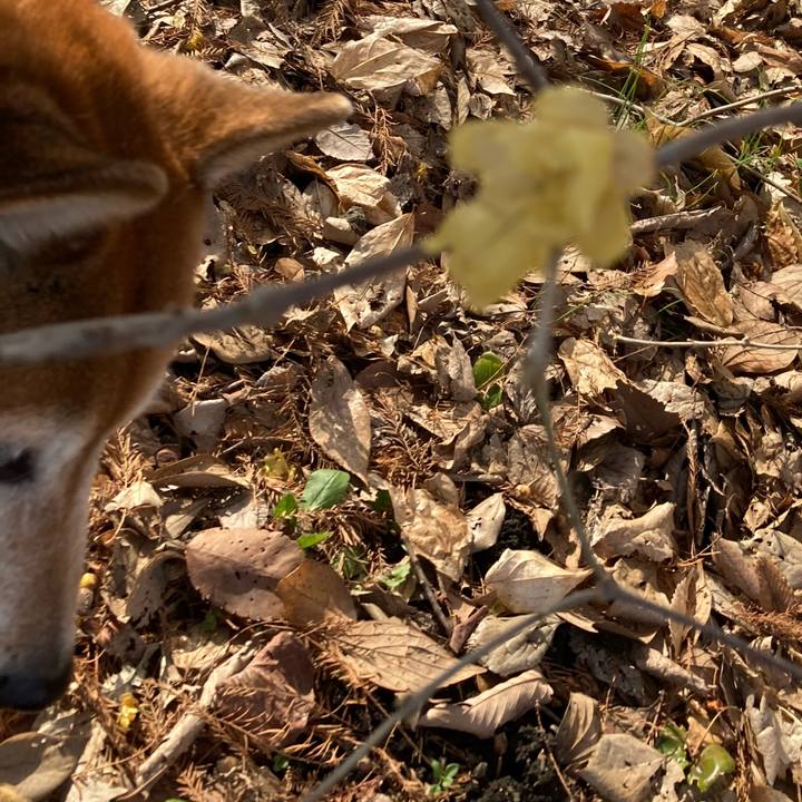 E7ebe01a f47d 4620 aa7e bea678f1ee25 1674045063870