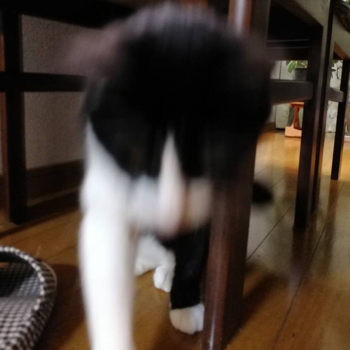 E7ebfeb3 cc2d 462d aef0 fdef70d6b8b1 1553690619606