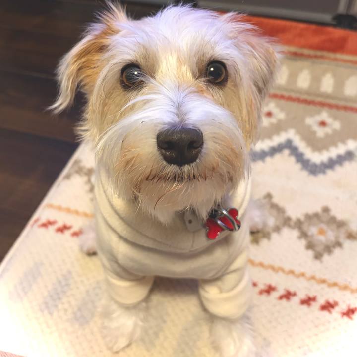 E7ec0418 9eab 4de0 b22c cded040c1fd3 1767183375484