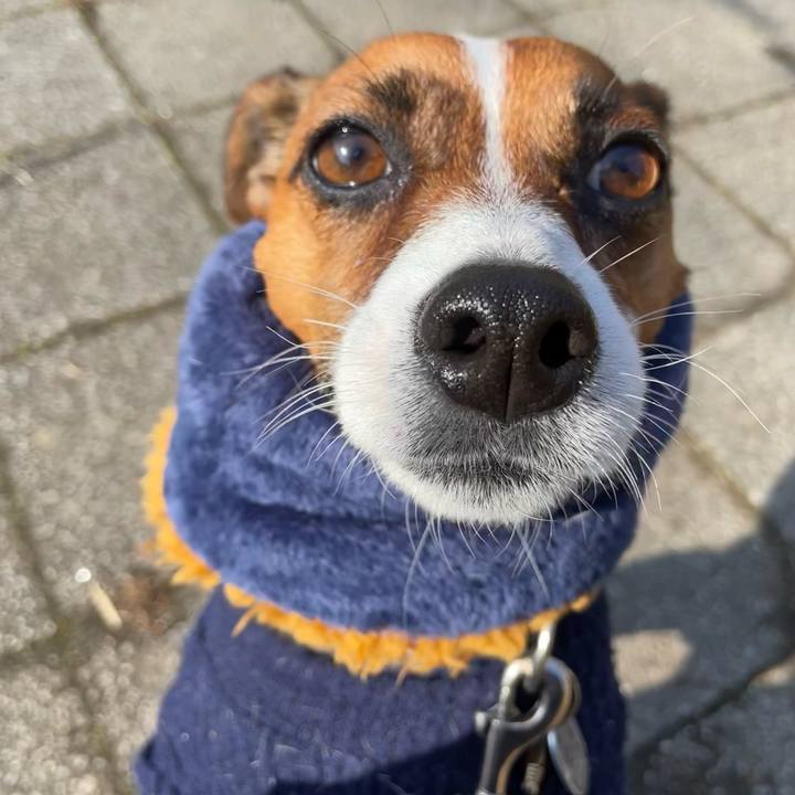 E7ec258a bd15 47a1 90ab 2ebb19ccd878 1646725059716