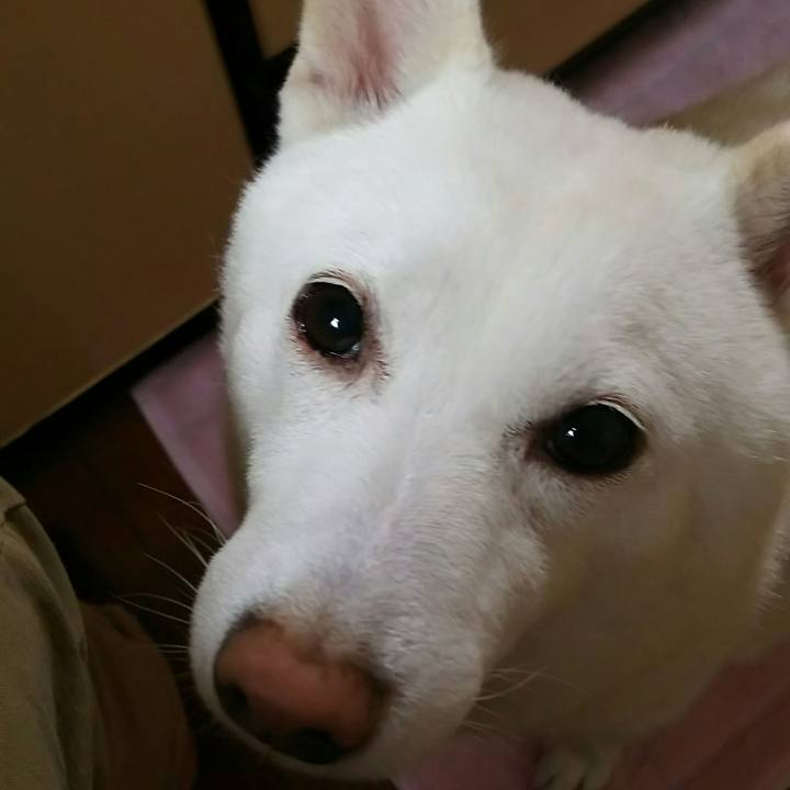 E7ec3533 e39f 4b8e 8059 ecc2961d464b 1536461714274