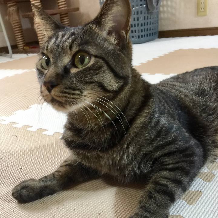 E7ec40ed 59aa 443d 9320 d23dc25ce082 1568524390733