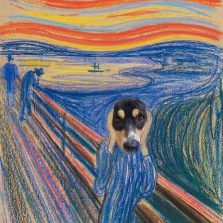 E7ec4bef 68f3 41c2 86e0 248edbb9cf86 1636862544099