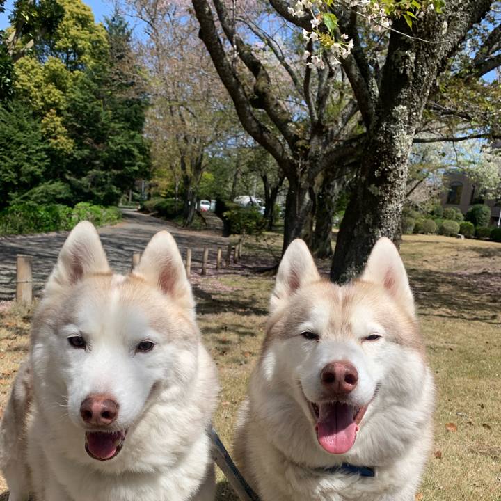 E7ec840d 42ef 4ac6 b99a 46151651f717 1713066192151