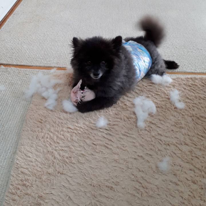 E7eca1a9 3a3f 428b 9df1 03ad25869357 1543105744568