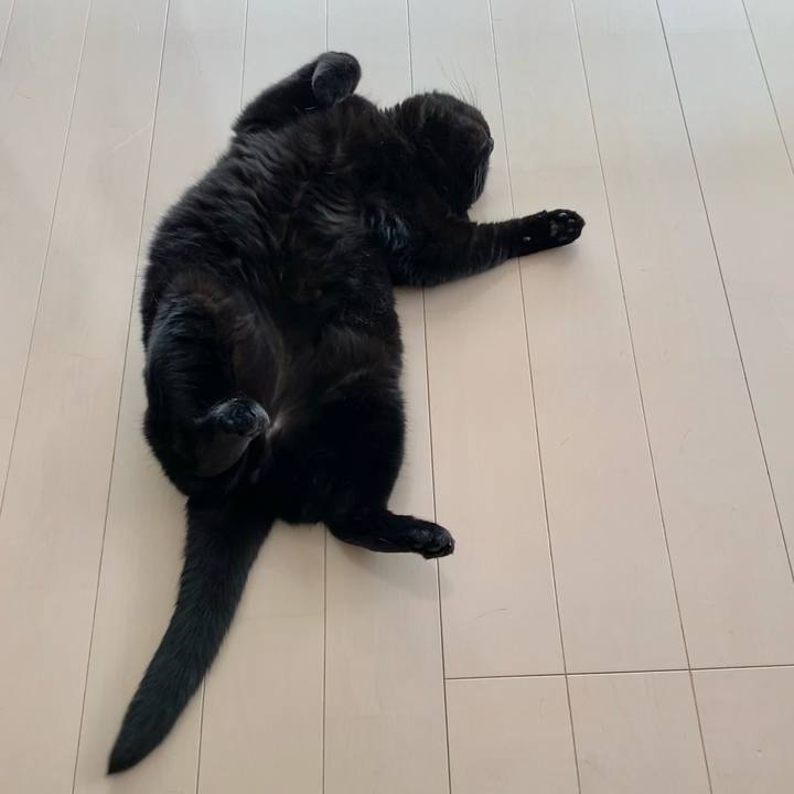 E7eca80e 5fe9 4fe5 8765 7027f77beebe 1716087963271