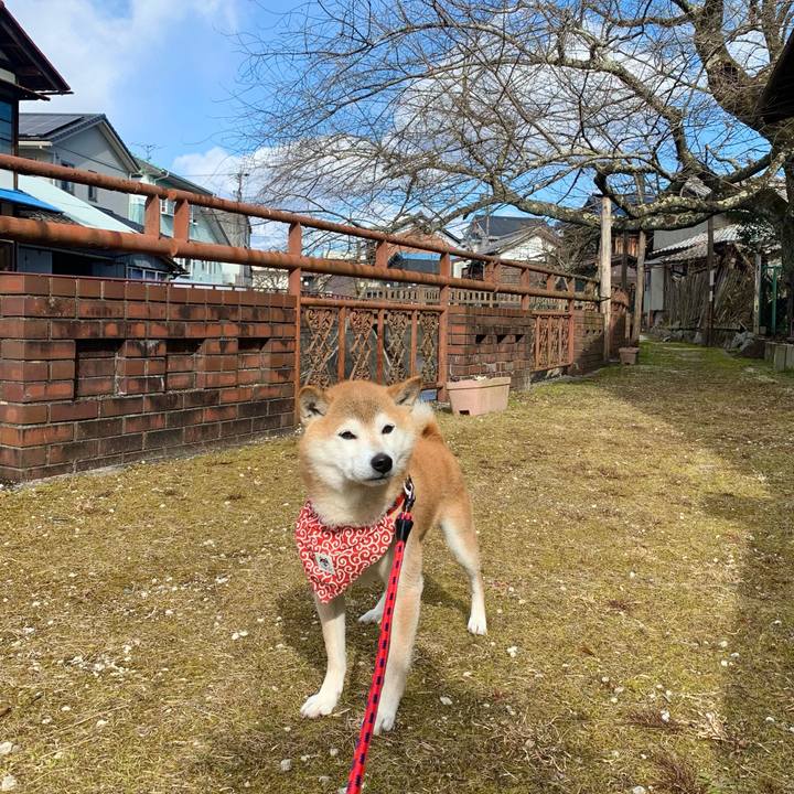 E7ecb128 9c1d 410c bd4b aedf7171b799 1642849432089