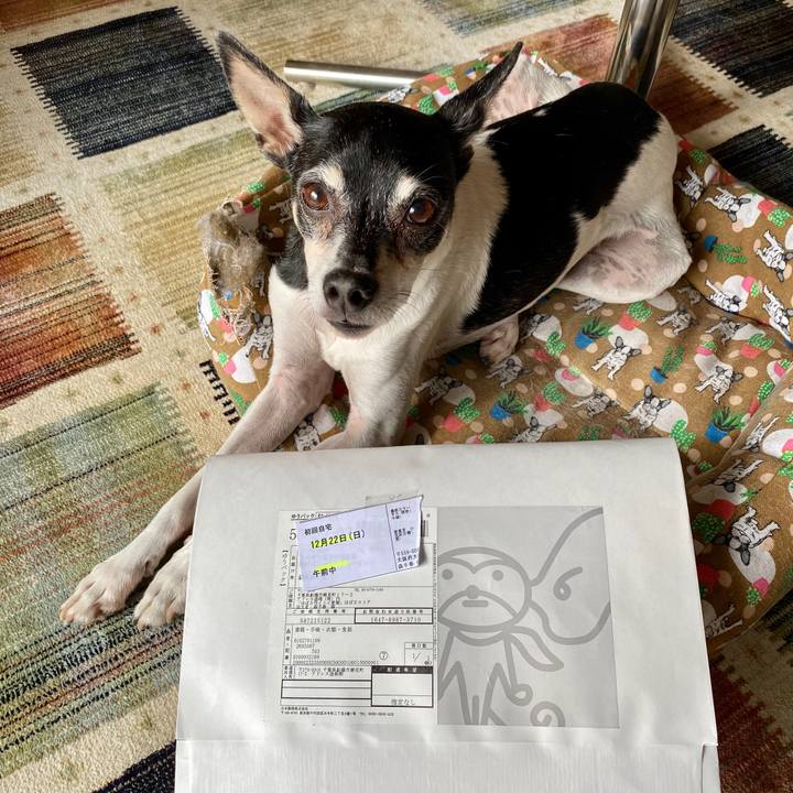 E7ecc7fd 54a3 4aa0 a8cb 207b8185fead 1576981970648