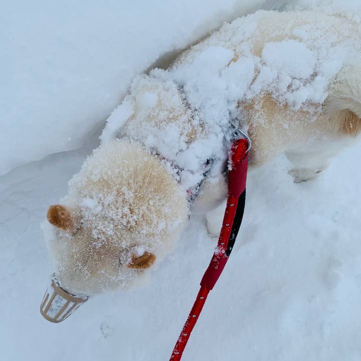 E7ecdae0 103c 4d6e 8620 90604f2dee70 1643005565509