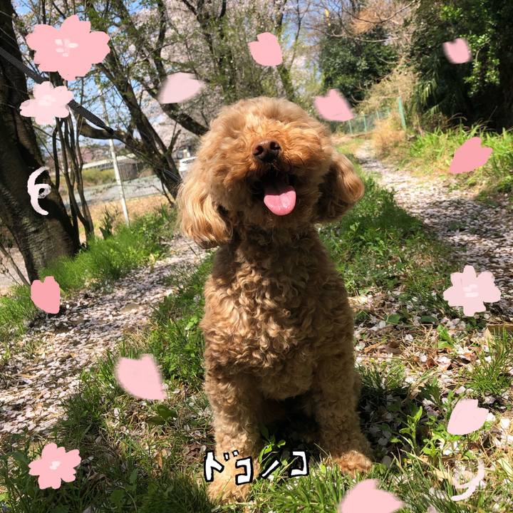 E7ece97d eb54 4d74 99c0 074d9a4e3233 1744426103425