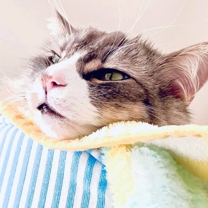 E7eced6e a1e5 49d8 a58b ac29fcf56e98 1671929685880