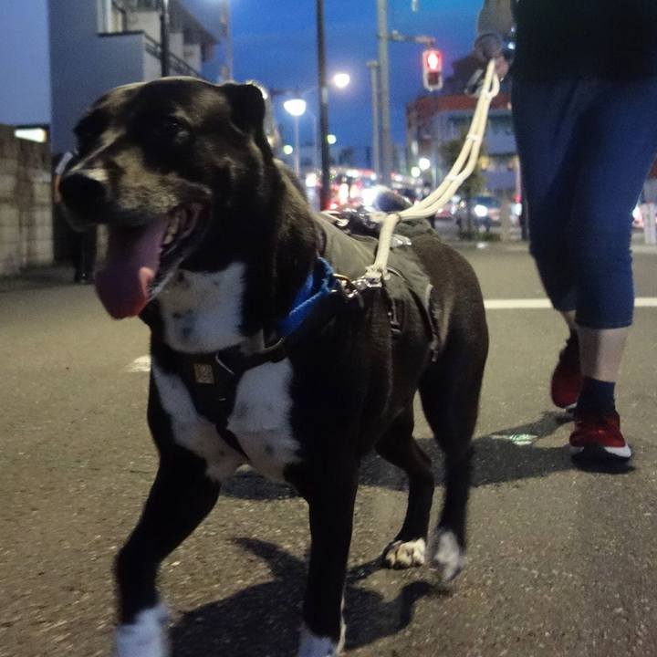 E7ecfd9a 9f98 4b56 abd0 d9c71ec81391 1662980878690