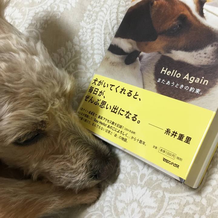 E7ed1869 1a98 42d7 a541 d9d2b6aa7134 1523457179086