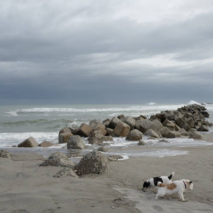 E7ed3ebd 1147 40f2 90af 96240324d240 1568955732093