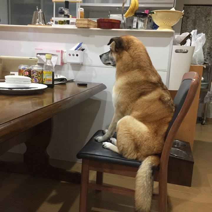 E7ed664a 5ded 4cbe 8de8 7999e2492476 1539776111475