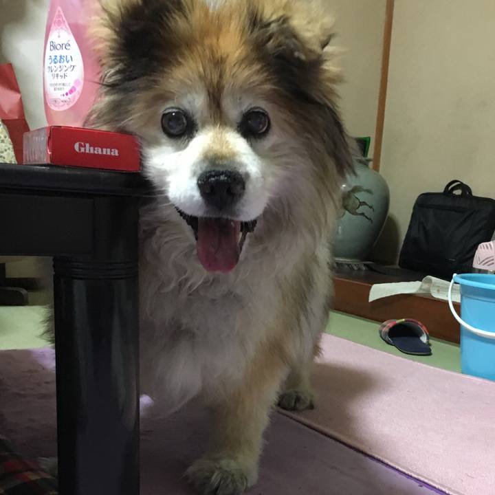 E7ed7d99 703a 4a39 82ce eda3bf1e5ab3 1559216302114