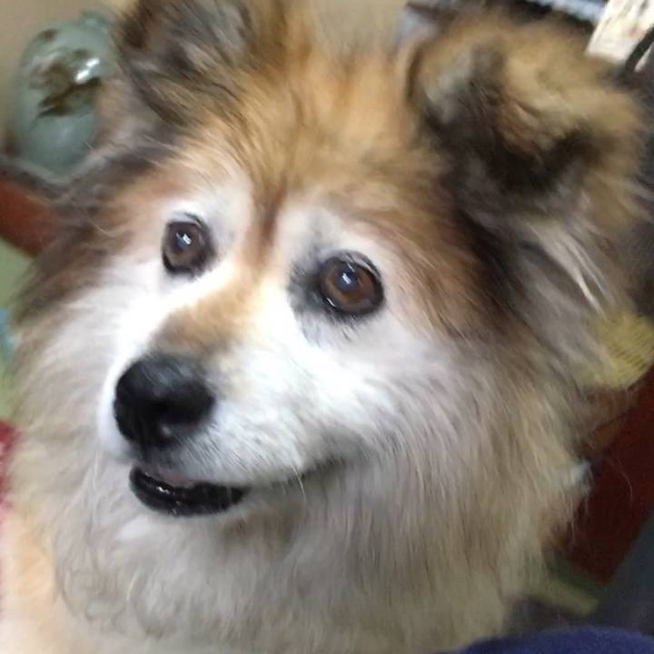 E7ed8cf8 ddef 4fc1 a1b0 c1e10b0b91e2 1632206192388