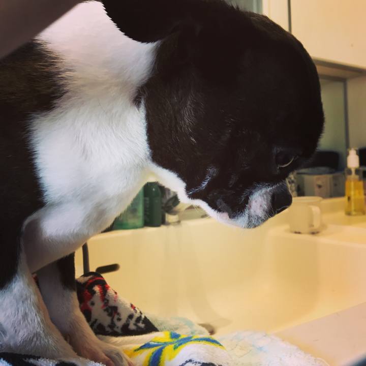 E7ed98b5 a382 430a a82d 36b339e58693 1521531605074