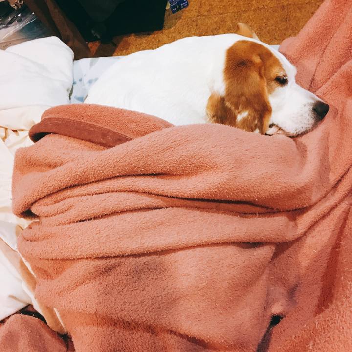 E7edc214 5884 4fbb a20d 636a0d6ee40e 1524492924825