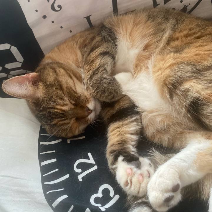 E7ee3115 c0df 408d 84b6 43ad58ef568c 1659711025606