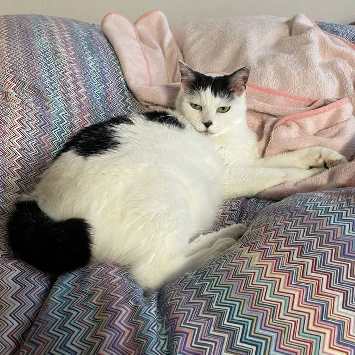 E7ee83e7 95aa 4001 be9d 1c9b4267c64a 1606865658104