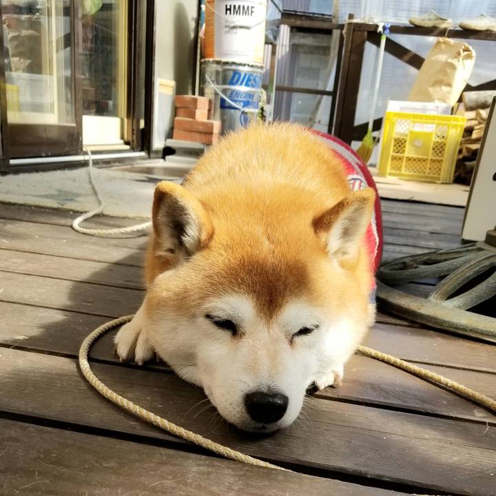 E7eef7ca e8c2 4f93 a50c 998edc5fc5c9 1583043904253