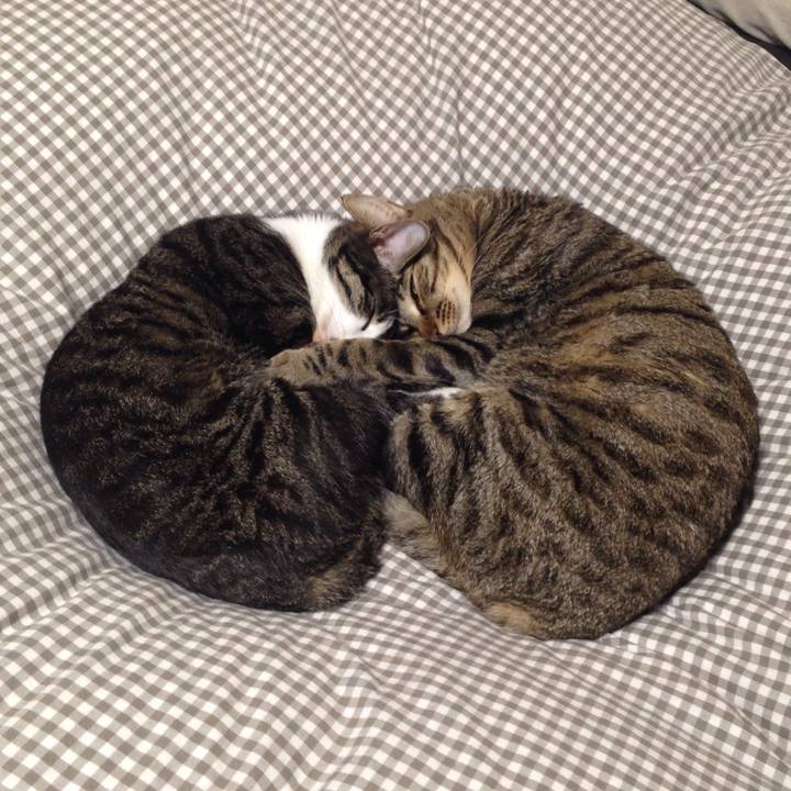 E7ef05b9 9a35 4f58 b6cd 3feb1b7514b8 1513089814674