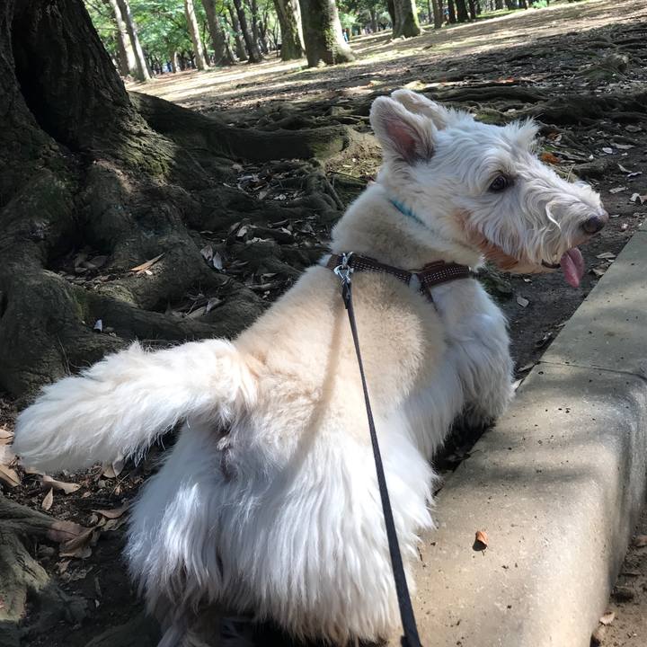 E7ef0aee ee28 4159 94e2 d4e126fe6e4a 1540105489050