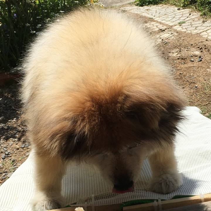 E7efcce1 8b29 4fb5 bac5 4183ce4bdbea 1641373414494