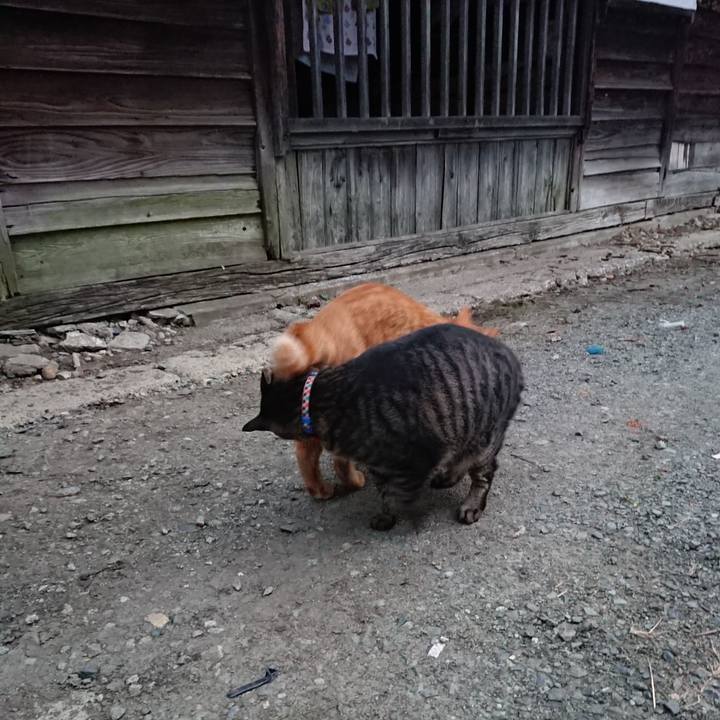 E7eff487 96a3 424e 8b72 32e8eb066bb0 1663015663254