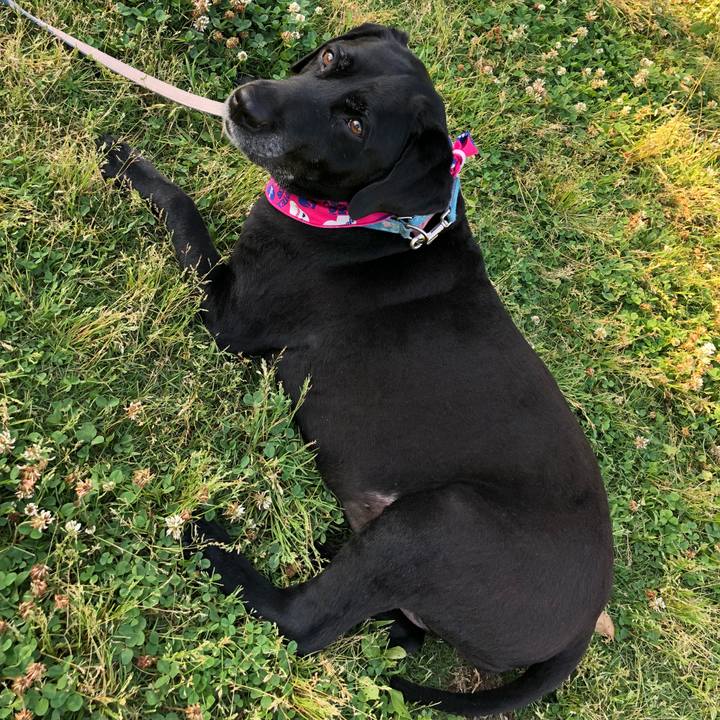 E7efff96 fc37 47a6 a749 ec7bb5d088d8 1528013418294