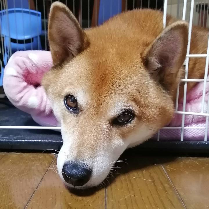 E7f028cc 37f0 4d6e 82a7 6b0ec90d3e3e 1603433471804