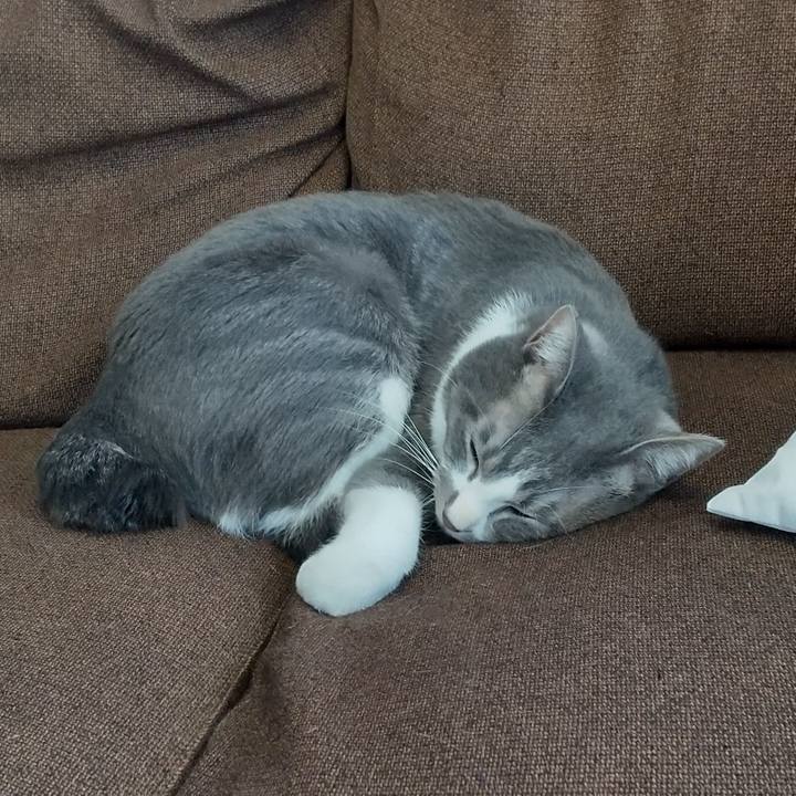 E7f02a13 4cf7 485d 8591 ec17d4771f8e 1613876184456