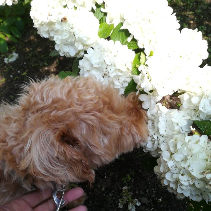 E7f03f4d 0588 4b30 ad66 b3beb3240221 1527896006654