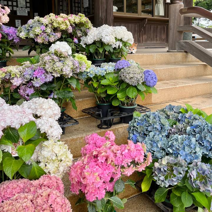 E7f0424b 9827 4465 a4ae c1c1c258c11d 1655046556795