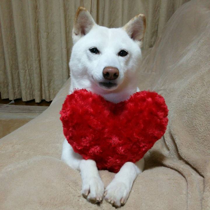 E7f05a79 03c8 43b0 8793 7acec6a6ae19 1544006015330