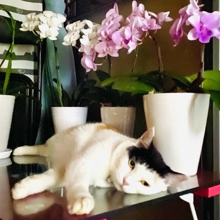 E7f05dc7 ea0f 465d b7e7 d2e87bb56475 1691326627537