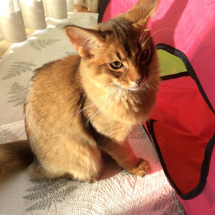 E7f0c403 0122 4c7f ae51 31e0aacabd50 1574632615460